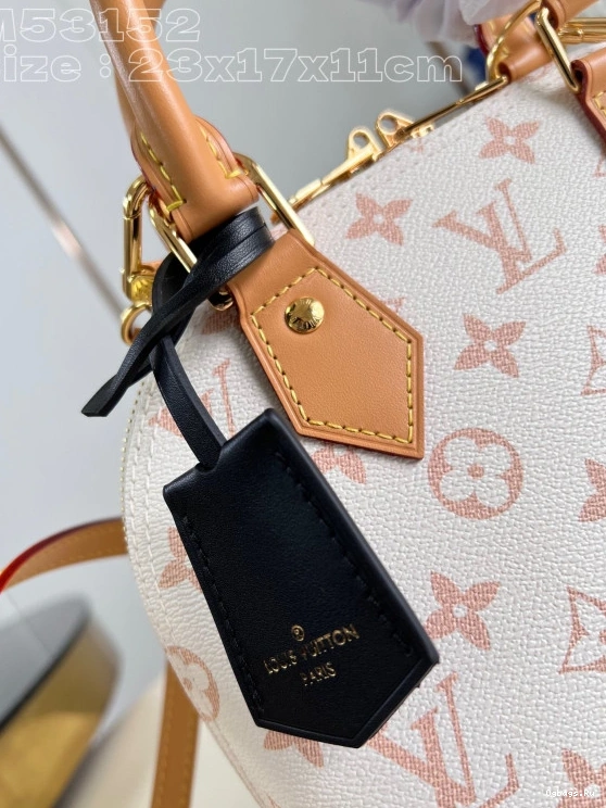 BB-23.5*17.5*11.5cm LOUIS ALMA VUITTON 1221